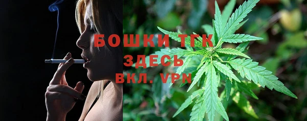 прущие грибы Приозерск