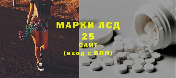 прущие грибы Приозерск