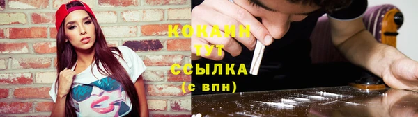 гидропоника Рославль