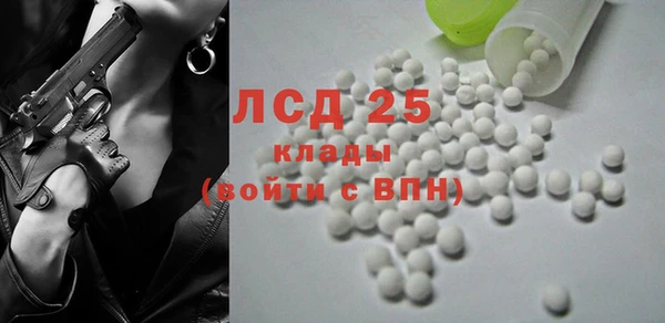 прущие грибы Приозерск