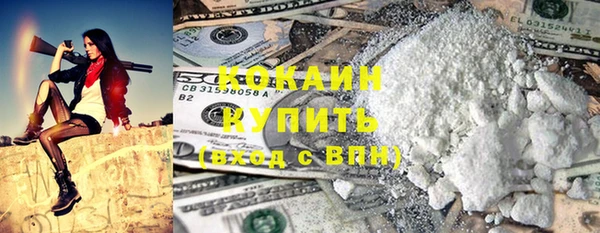 прущие грибы Приозерск