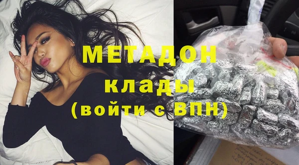 прущие грибы Приозерск