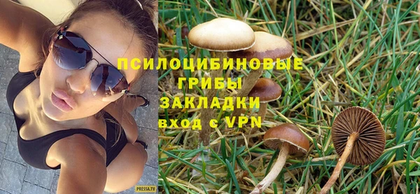 прущий лед Протвино