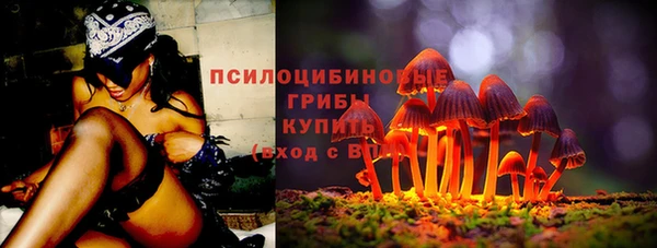 мдма Пролетарск